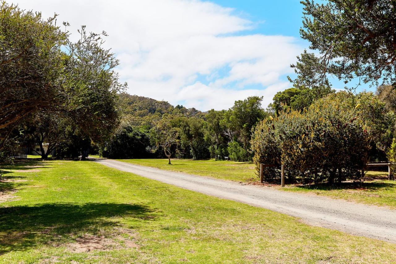 Kennett River Family Caravan Park Wye River Kültér fotó