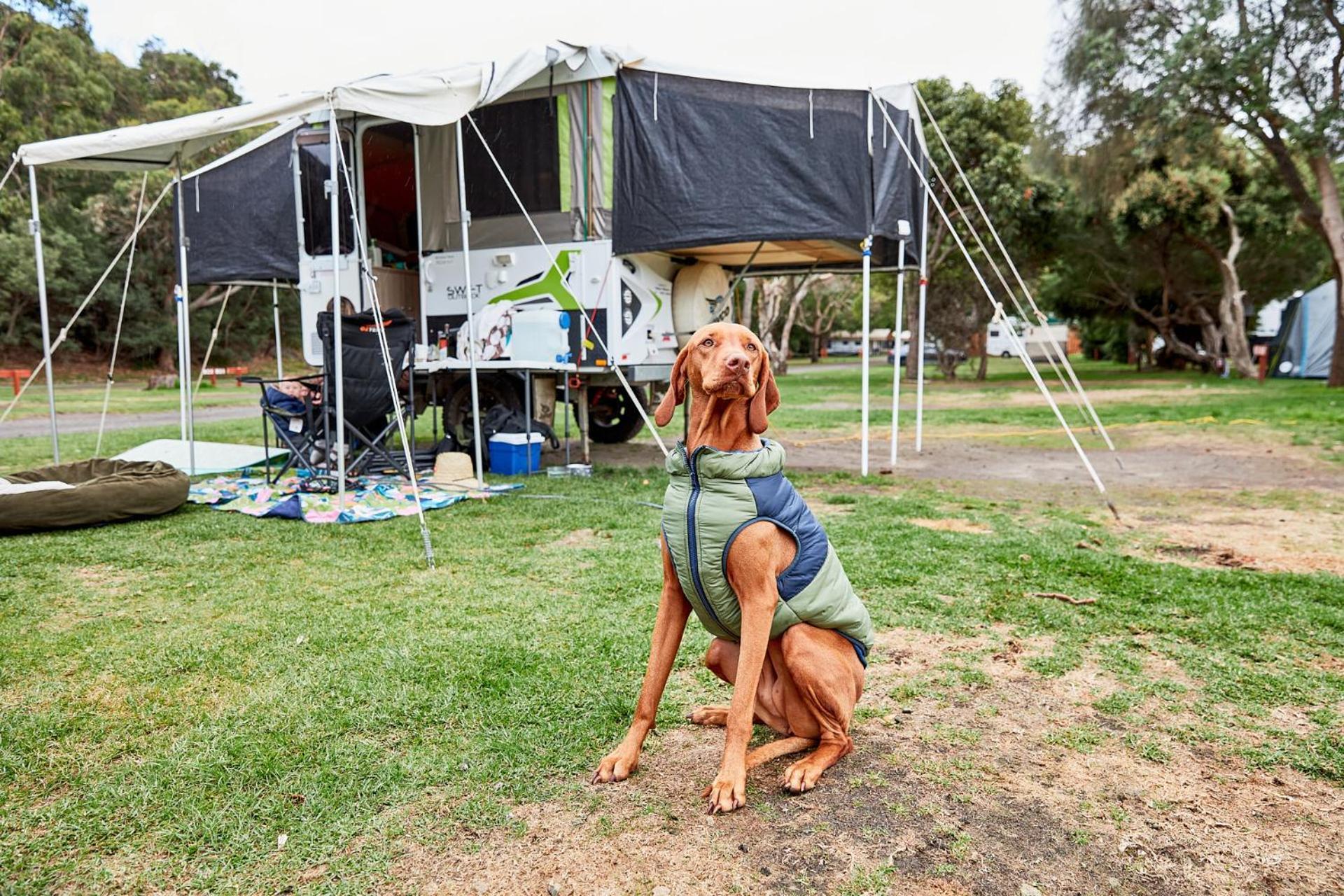 Kennett River Family Caravan Park Wye River Kültér fotó